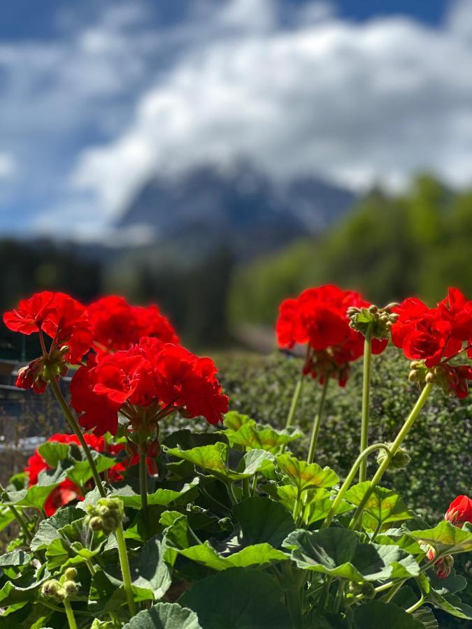Chalet Tirolia Kirchdorf in Tirol Ngoại thất bức ảnh